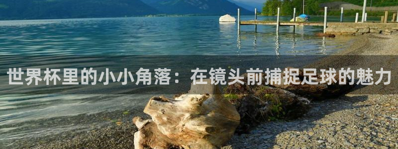 世界杯比赛：世界杯里的小小角落：在镜头前捕捉足球的魅力