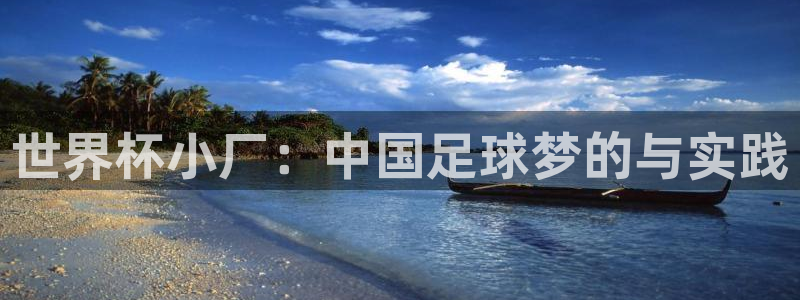 世界杯 赛程：世界杯小厂：中国足球梦的与实践