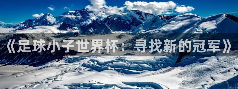 美国世界杯：《足球小子世界杯：寻找新的冠军》