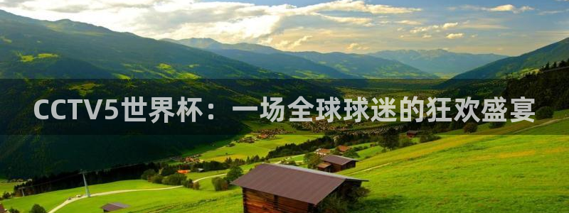 2026世界杯日期：CCTV5世界杯：一场全球球迷的狂欢盛宴