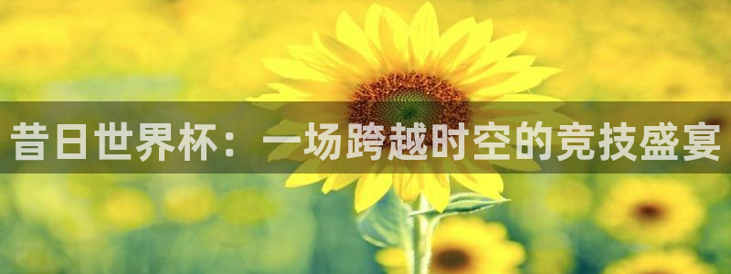 2026足球世界杯赛程时间表：昔日世界杯：一场跨越时空的竞技盛宴