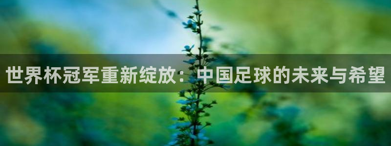 世界直播：世界杯冠军重新绽放：中国足球的未来与希望