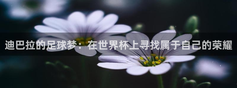 2026世界杯：迪巴拉的足球梦：在世界杯上寻找属于自己的荣耀