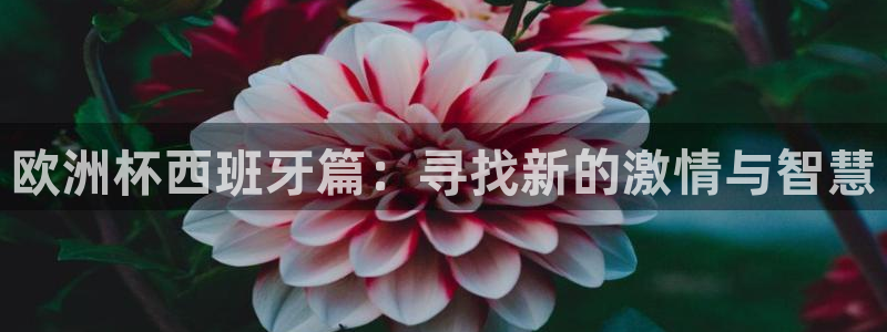 世预赛赛程表：欧洲杯西班牙篇：寻找新的激情与智慧