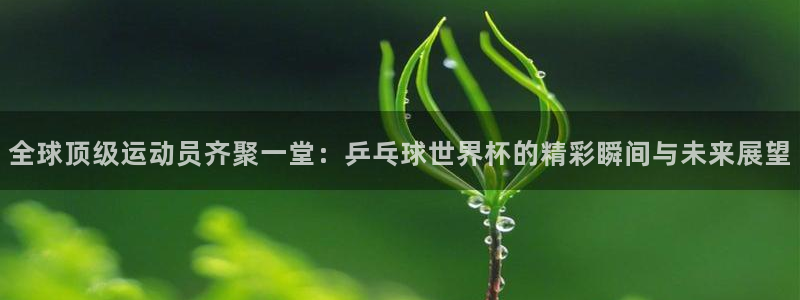 欧洲世预赛赛程表：全球顶级运动员齐聚一堂：乒乓球世界杯的精彩瞬间与未来展望