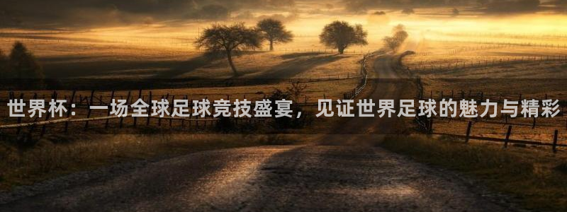 世界杯第一场比赛：世界杯：一场全球足球竞技盛宴，见证世界足球的魅力与精彩