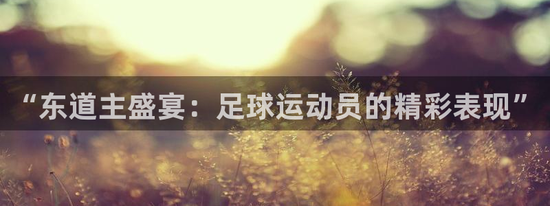 世界杯决赛圈球队：“东道主盛宴：足球运动员的精彩表现”
