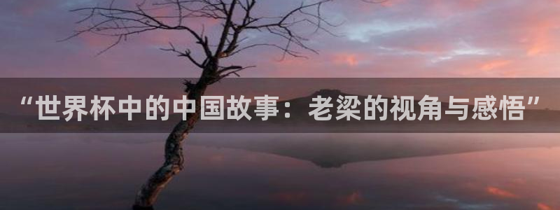 2026世界杯赛制：“世界杯中的中国故事：老梁的视角与感悟”