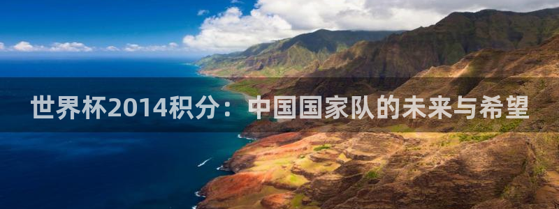 2026世界杯亚洲预选赛：世界杯2014积分：中国国家队的未来与希望