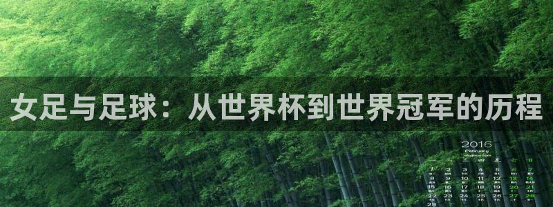 亚洲杯足球：女足与足球：从世界杯到世界冠军的历程